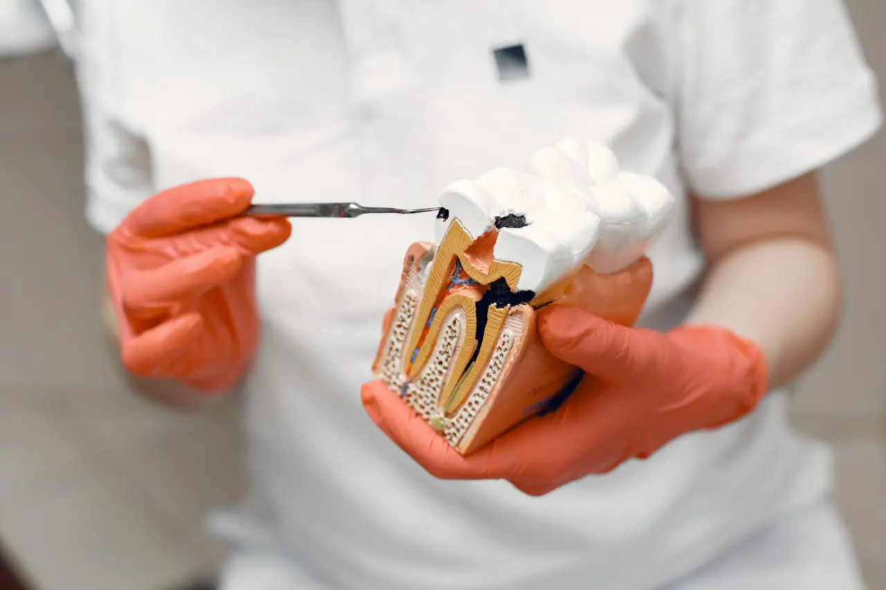 cavities